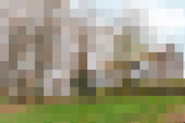 Berlagelaan 193 Hilversum thumbnail 47