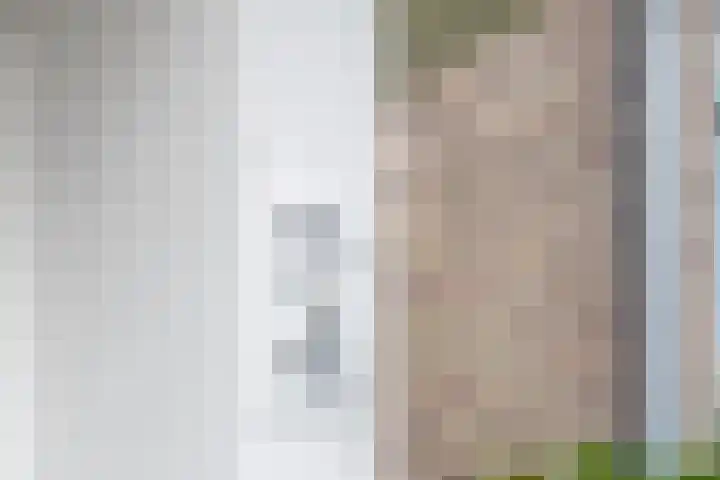 Berlagelaan 193 Hilversum thumbnail 9