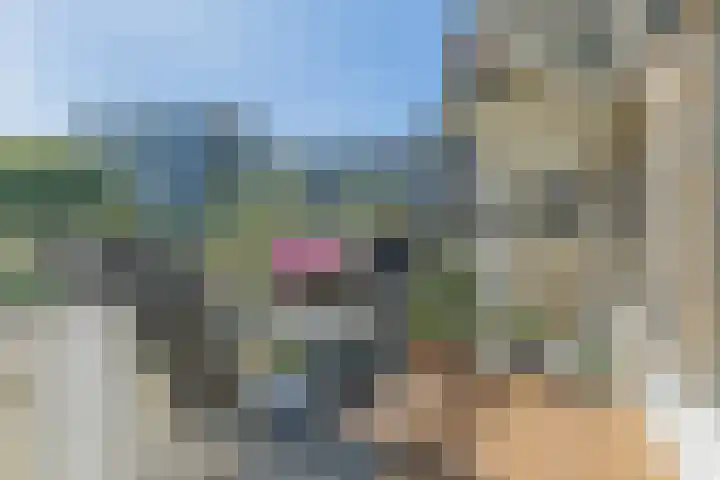 Berlagelaan 20 Haarlem thumbnail 11