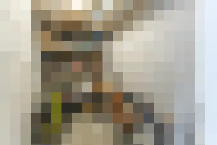Berlagelaan 20 Haarlem thumbnail 30