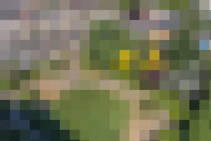 Berlagelaan 20 Haarlem thumbnail 41