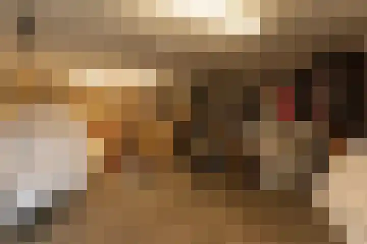 Berlagelaan 203 Hilversum thumbnail 17