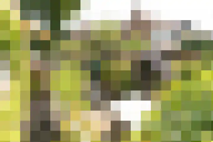 Berlagelaan 203 Hilversum thumbnail 21