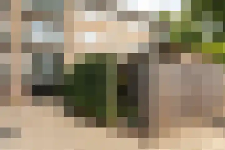 Berlagelaan 203 Hilversum thumbnail 23