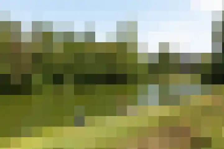 Berlagelaan 203 Hilversum thumbnail 25