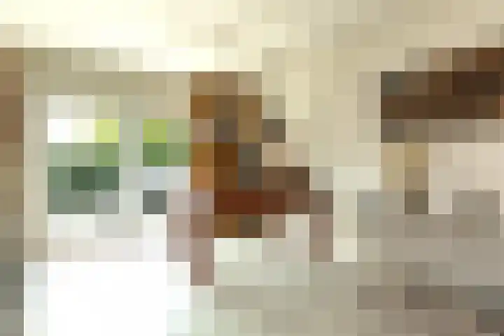Berlagelaan 203 Hilversum thumbnail 5