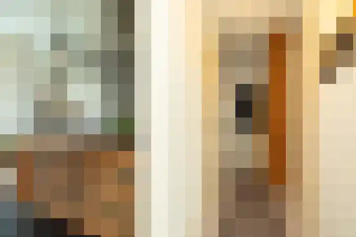 Berlagelaan 203 Hilversum thumbnail 8