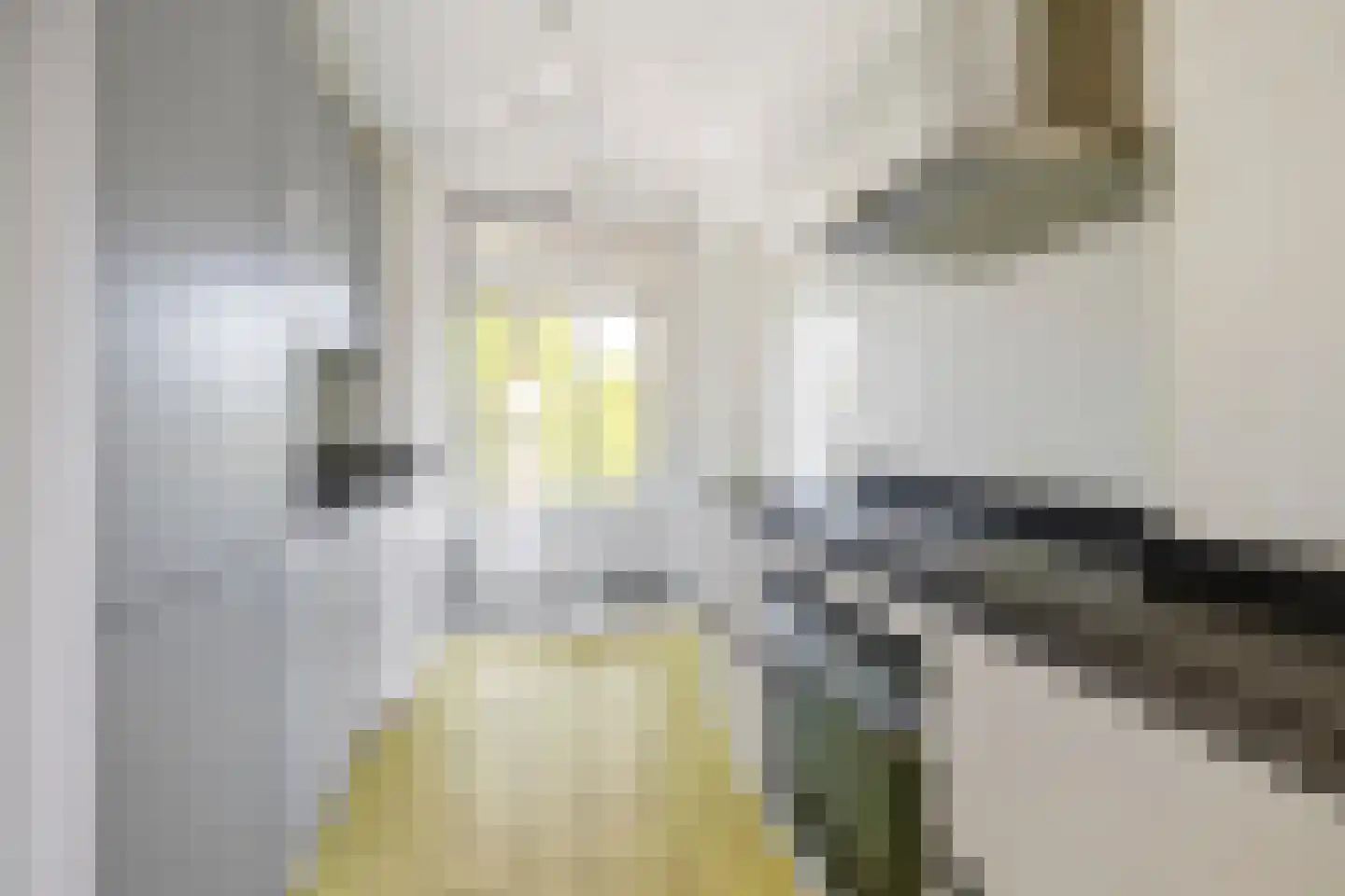 Berlagelaan 207 Hilversum thumbnail 9