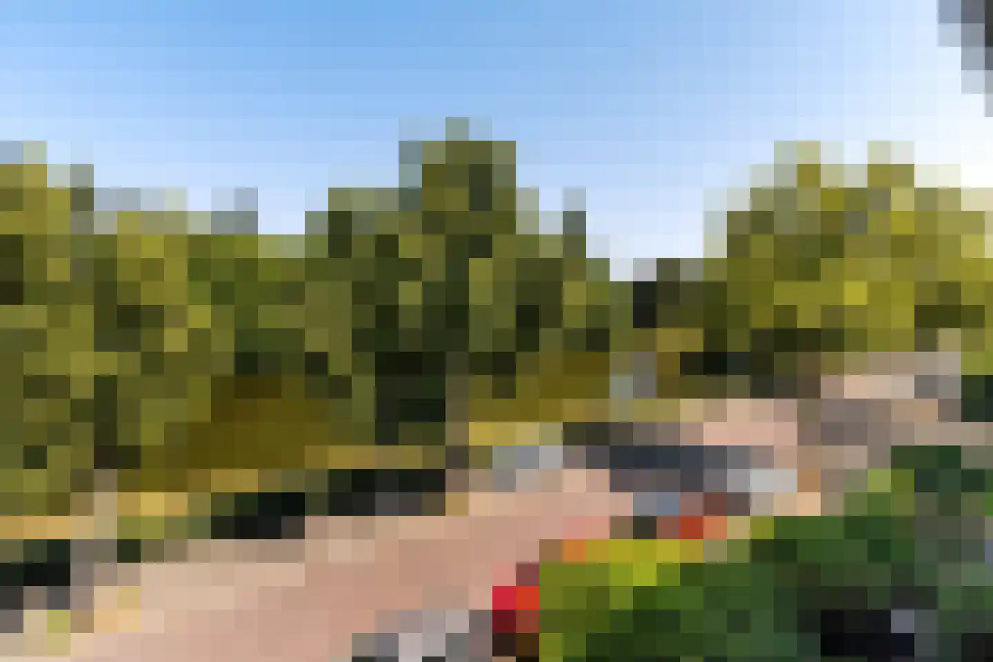 Berlagelaan 213 Hilversum thumbnail 23