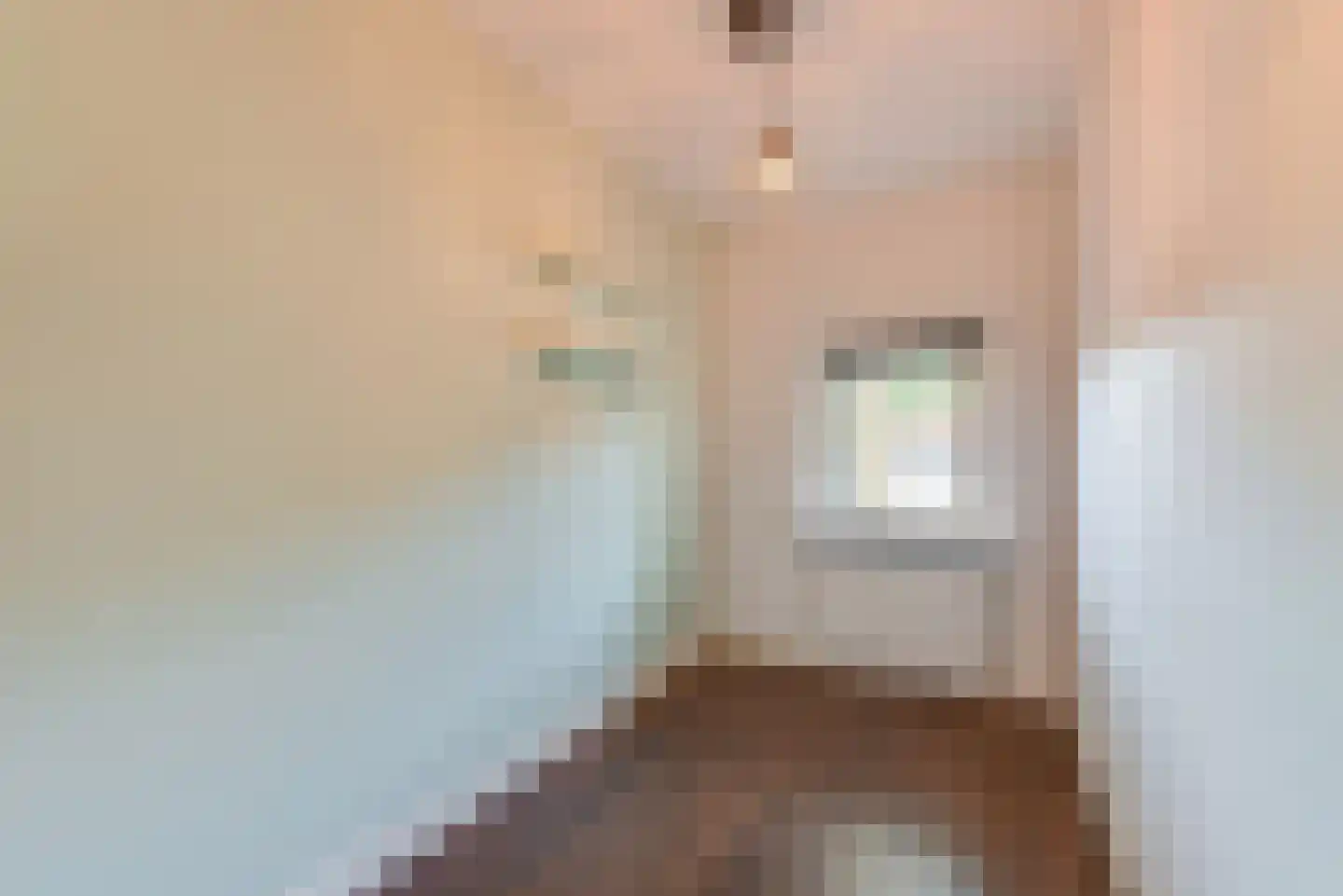 Berlagelaan 22 Hilversum thumbnail 10