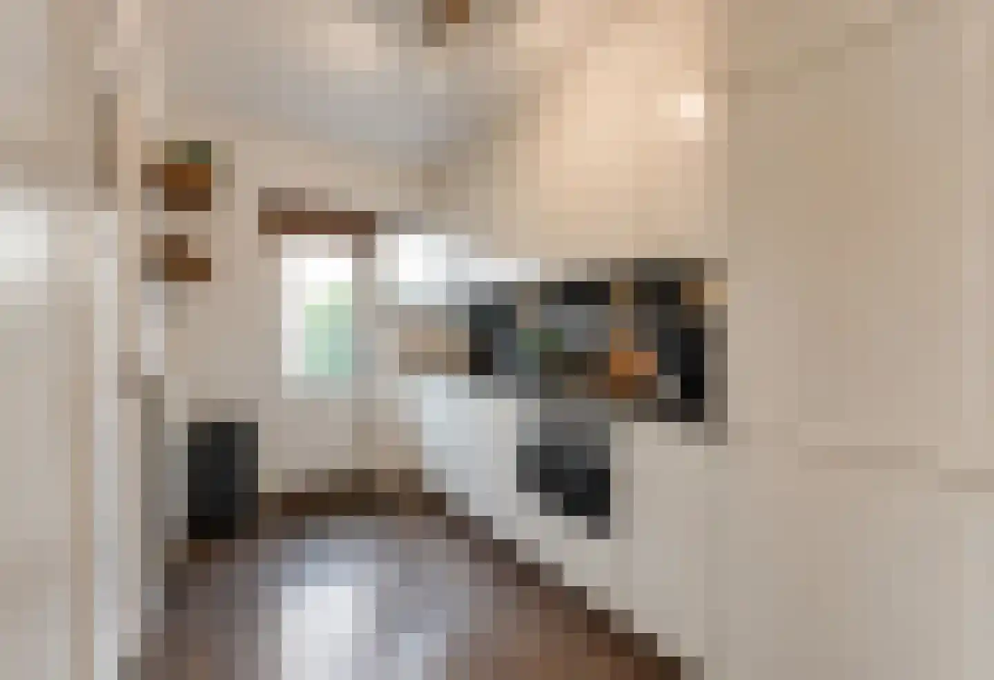 Berlagelaan 22 Hilversum thumbnail 12
