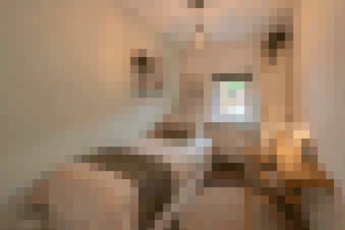 Berlagelaan 22 Hilversum thumbnail 9