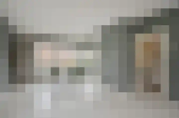 Berlagelaan 233 Hilversum thumbnail 19