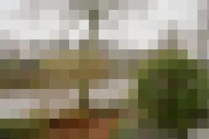 Berlagelaan 233 Hilversum thumbnail 20