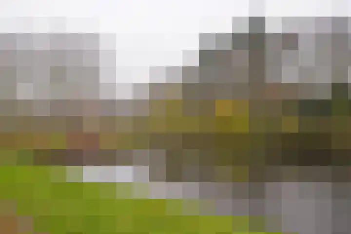 Berlagelaan 233 Hilversum thumbnail 26