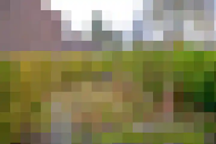 Berlagelaan 233 Hilversum thumbnail 5