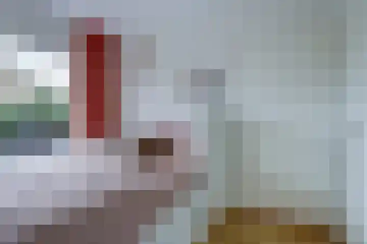 Berlagelaan 299 Hilversum thumbnail 18