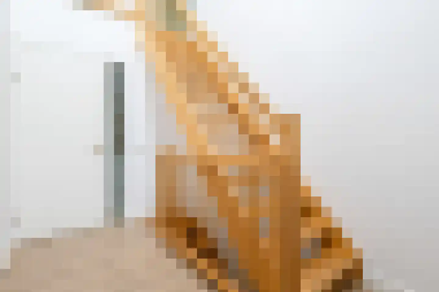 Berlagelaan 3 Ede thumbnail 26