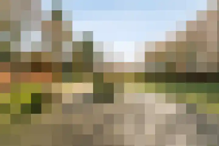 Berlagelaan 34 Haarlem thumbnail 34