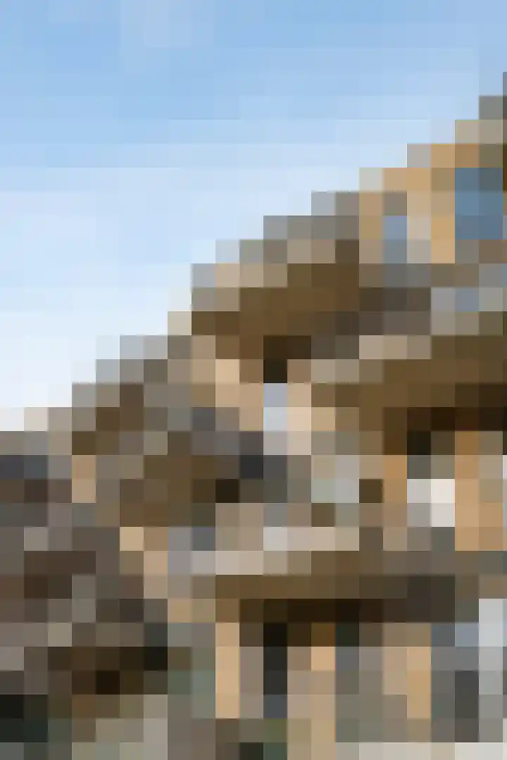 Berlagelaan 34 Haarlem thumbnail 37