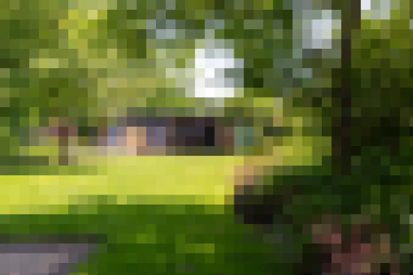 Berlagelaan 39 Doetinchem thumbnail 23