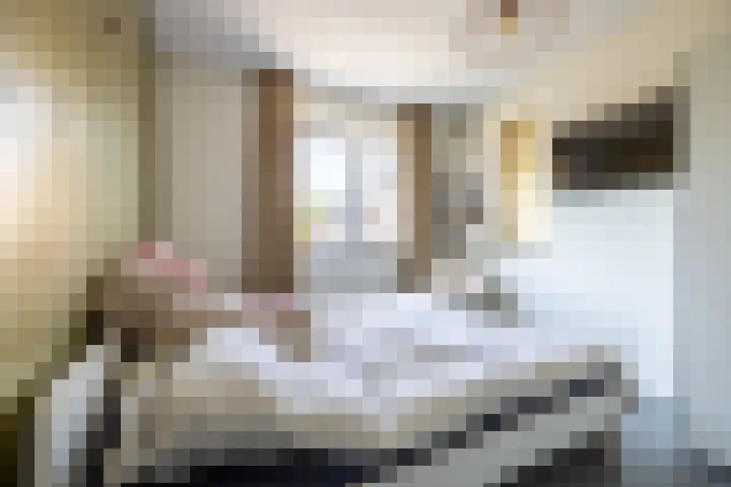 Berlagelaan 39 Doetinchem thumbnail 44