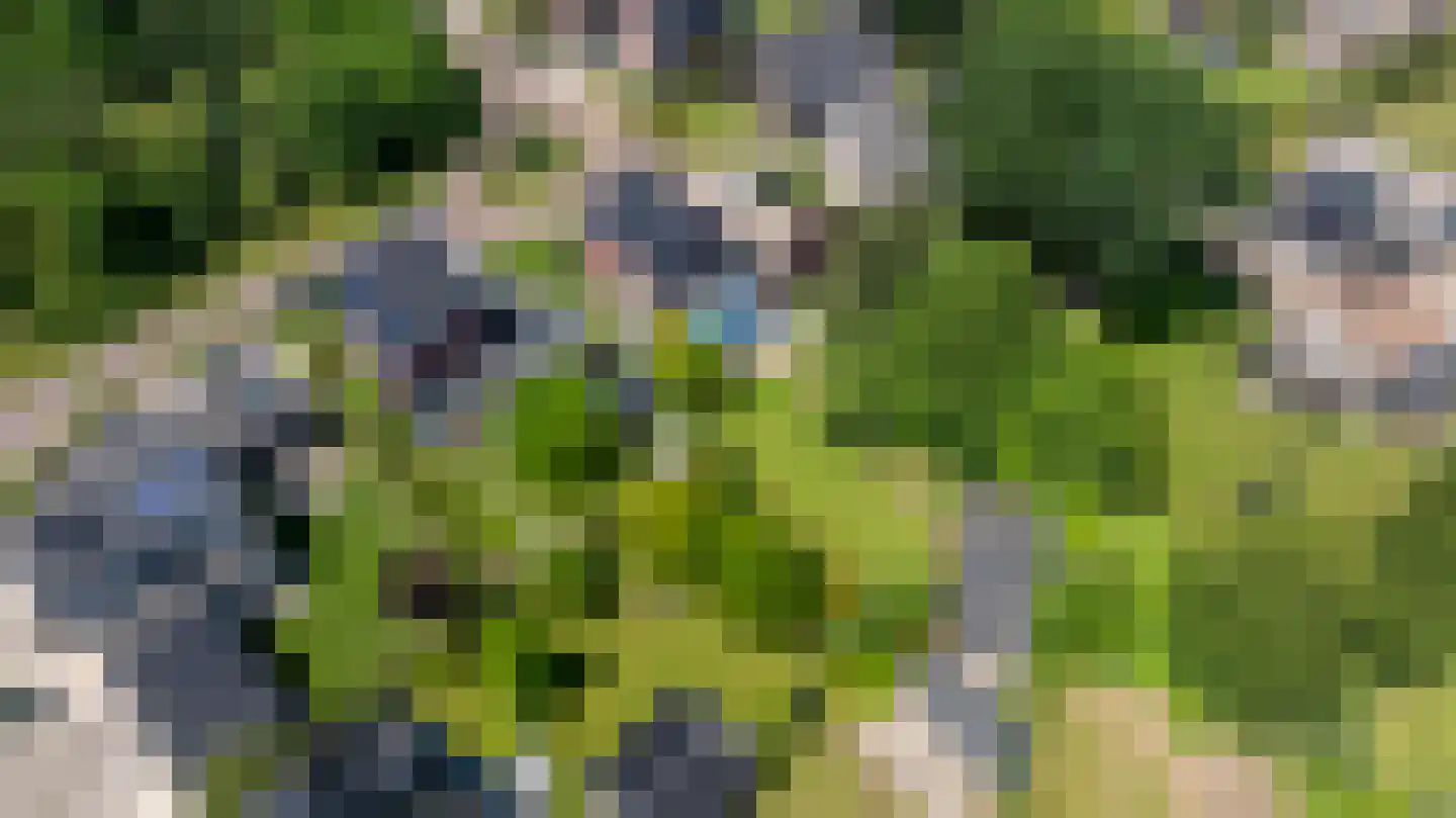 Berlagelaan 39 Doetinchem thumbnail 67