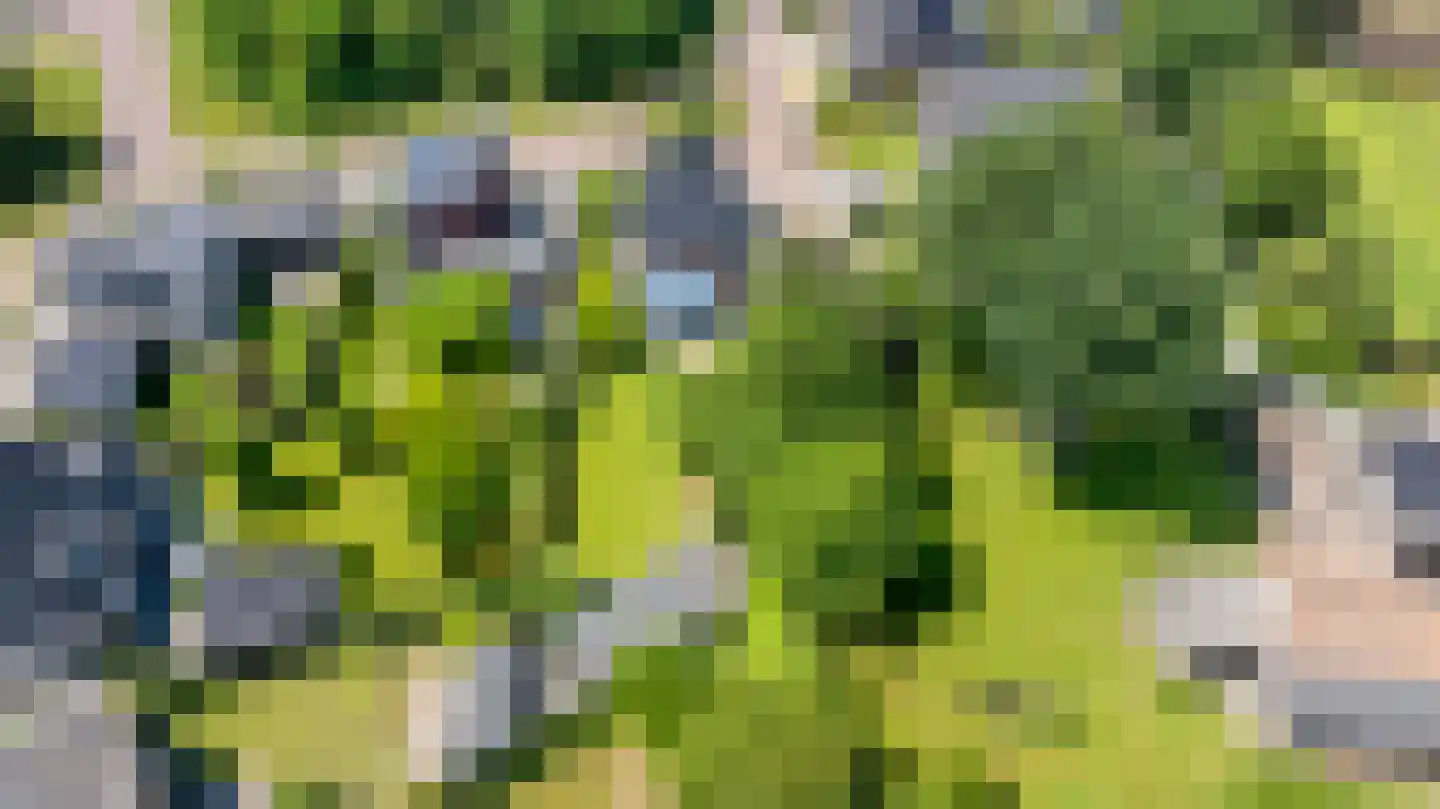 Berlagelaan 39 Doetinchem thumbnail 68