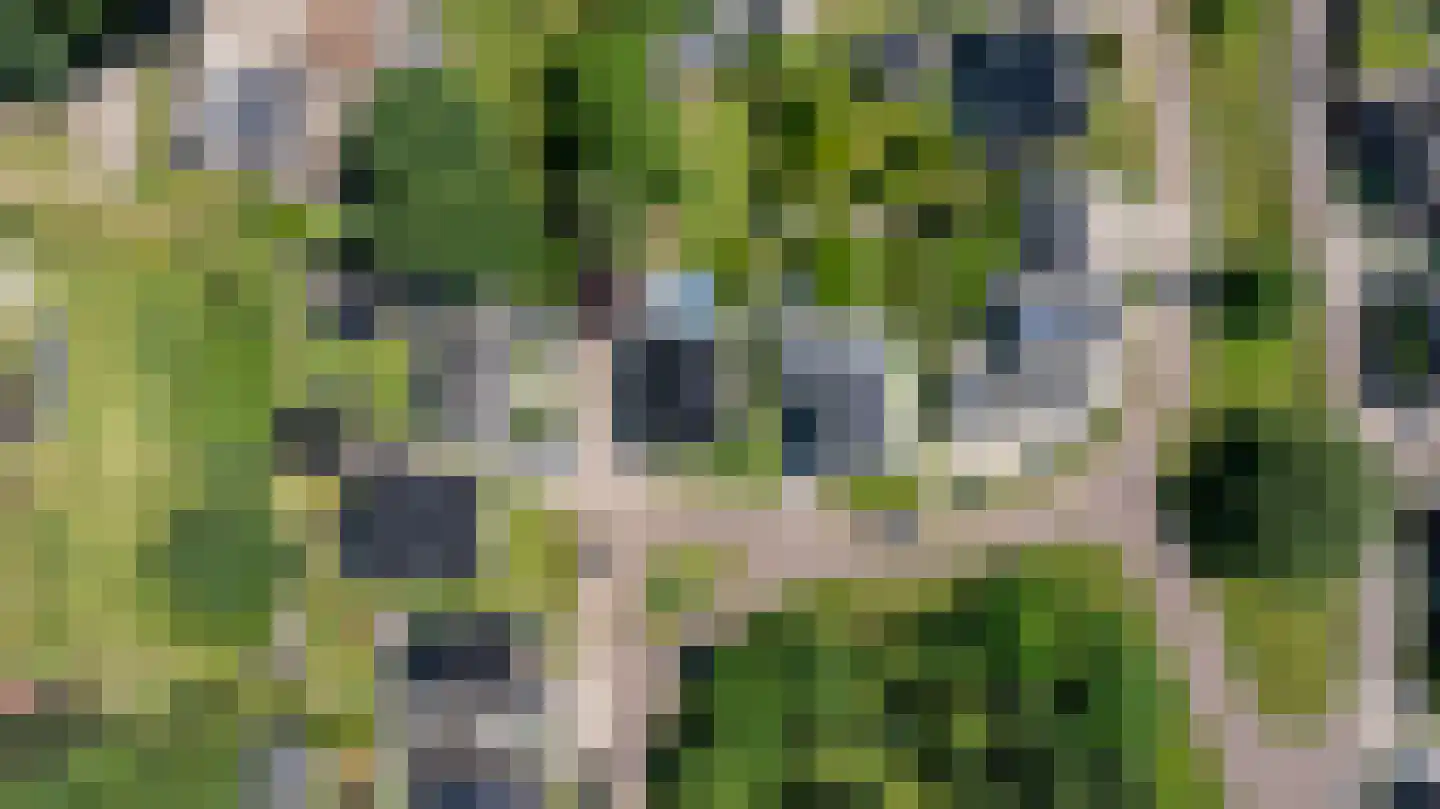 Berlagelaan 39 Doetinchem thumbnail 69