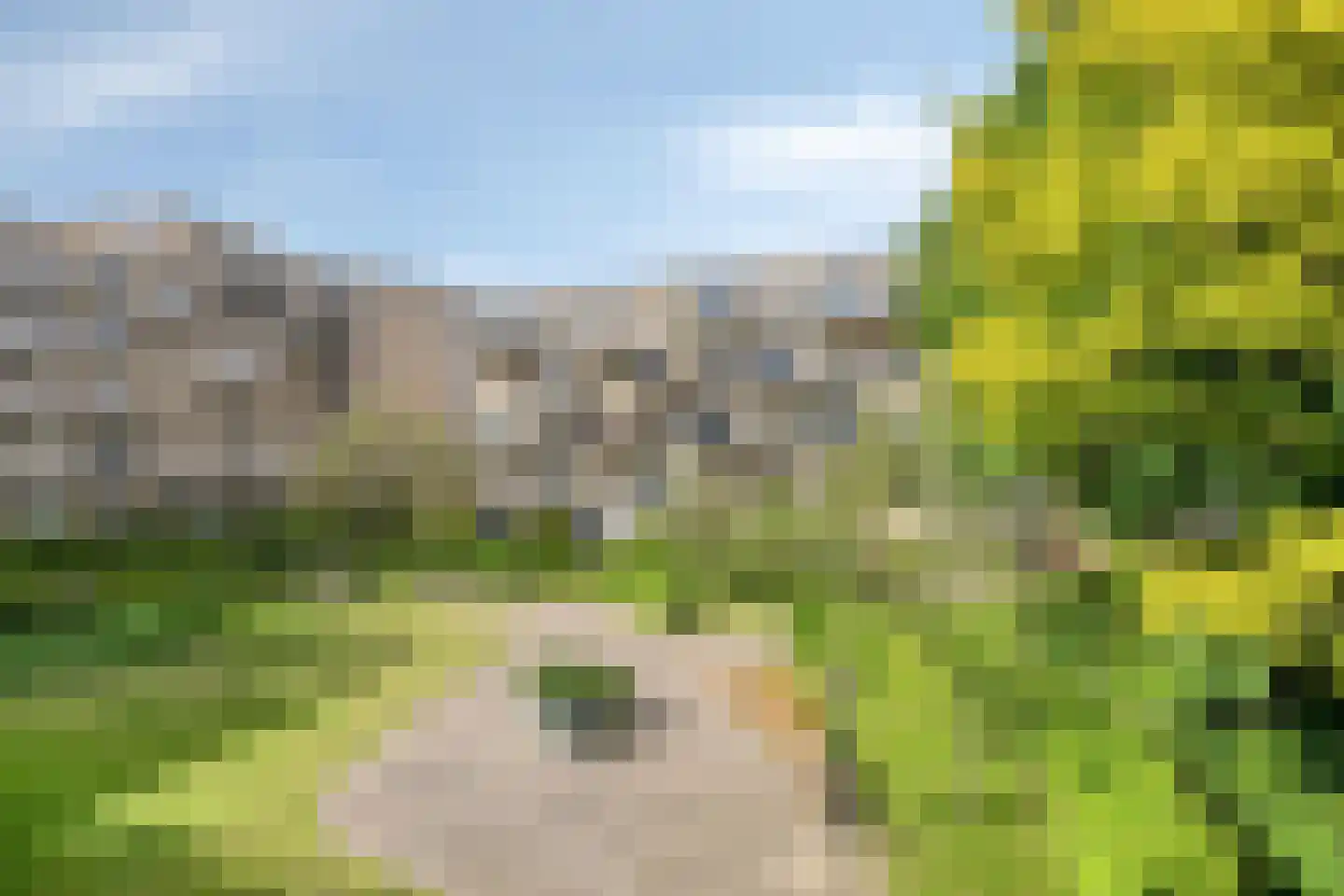 Berlagelaan 46 Haarlem thumbnail 31