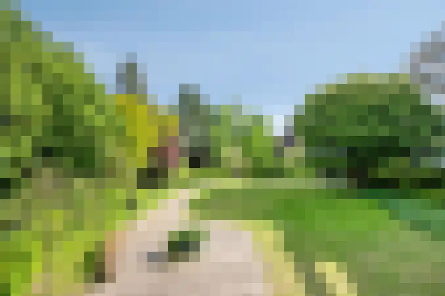 Berlagelaan 46 Haarlem thumbnail 37
