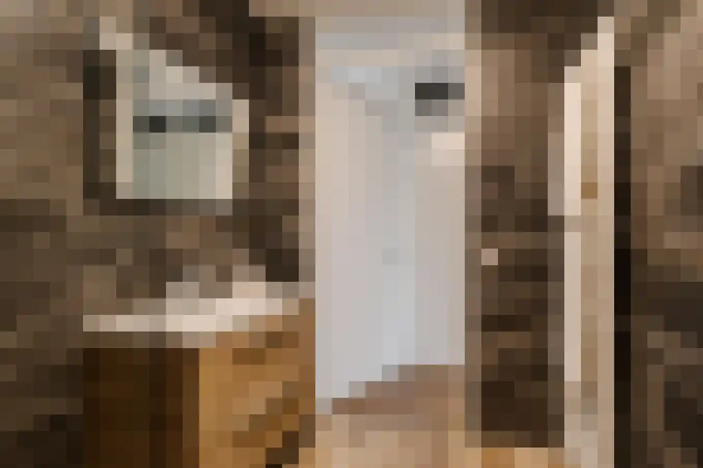 Berlagelaan 48 Haarlem thumbnail 13