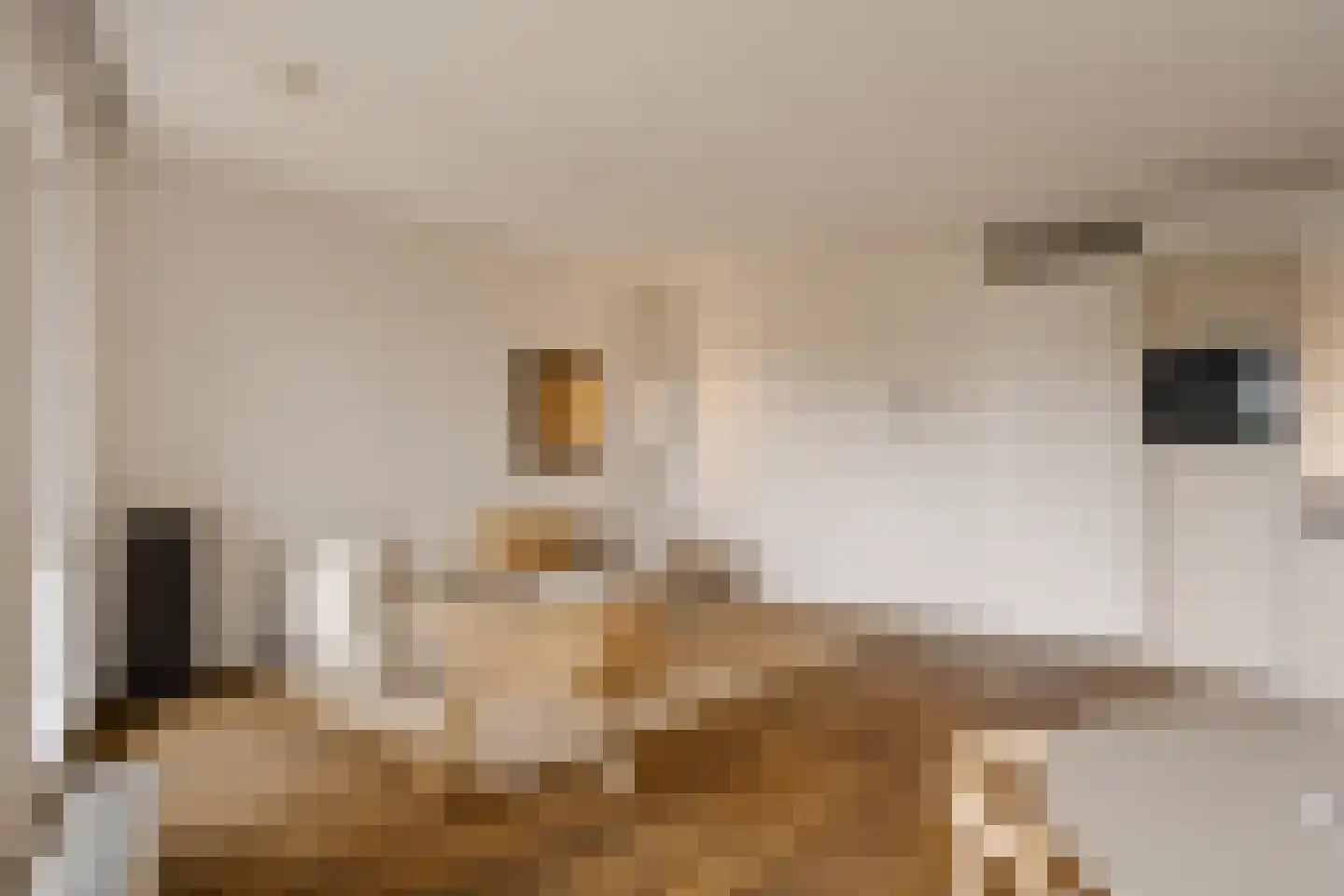 Berlagelaan 48 Haarlem thumbnail 23