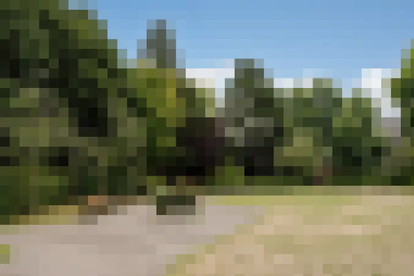 Berlagelaan 48 Haarlem thumbnail 29