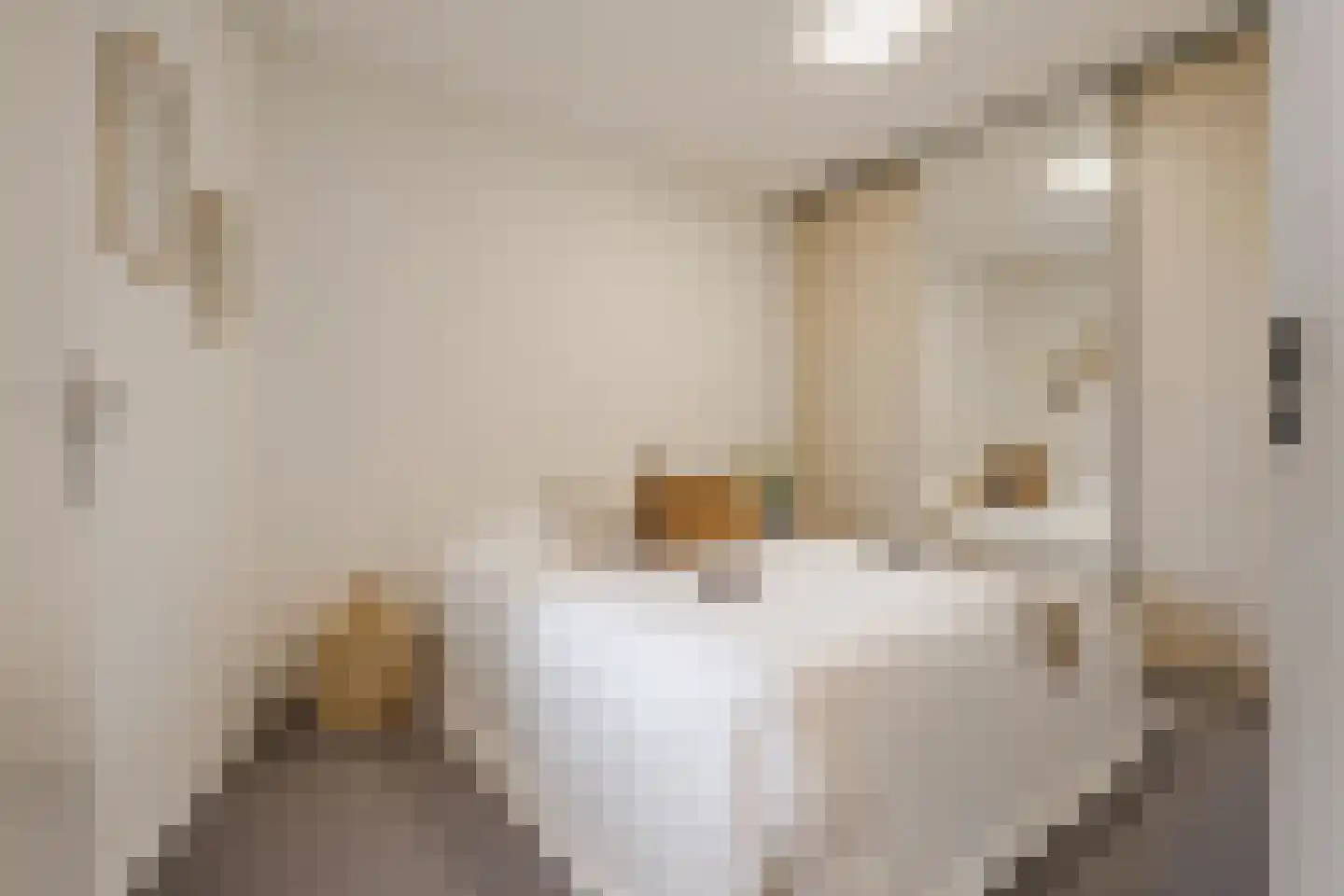 Berlagelaan 48 Haarlem thumbnail 4