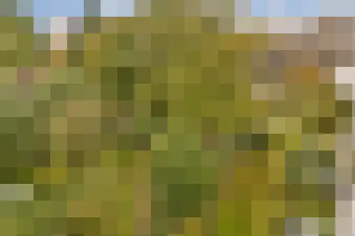 Berlagelaan 60 Haarlem thumbnail 14