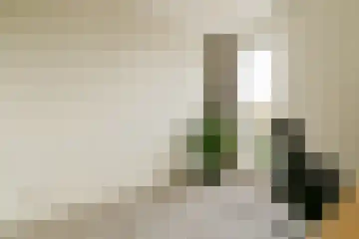 Berlagelaan 60 Haarlem thumbnail 19