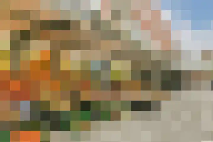 Berlagelaan 60 Haarlem thumbnail 24