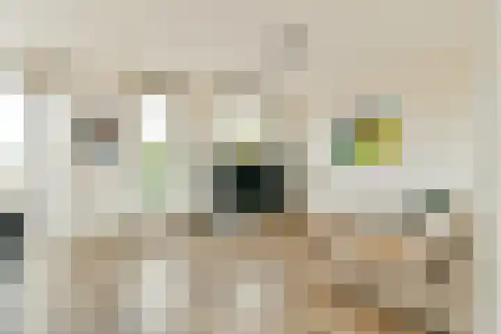 Berlagelaan 60 Haarlem thumbnail 5