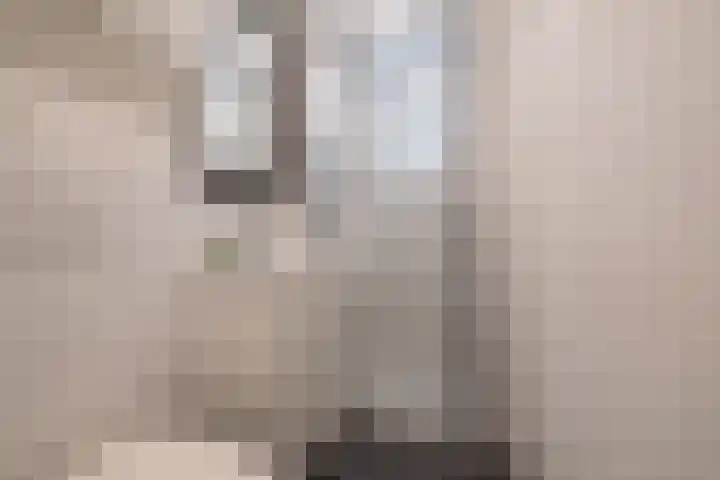 Berlagelaan 60 Hilversum thumbnail 22
