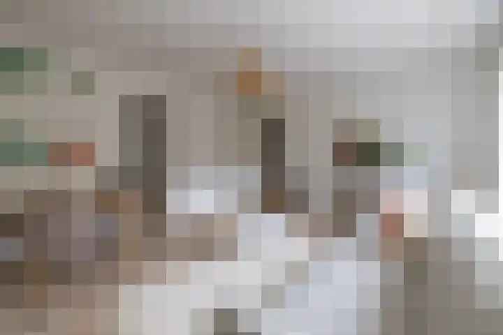 Berlagelaan 60 Hilversum thumbnail 7