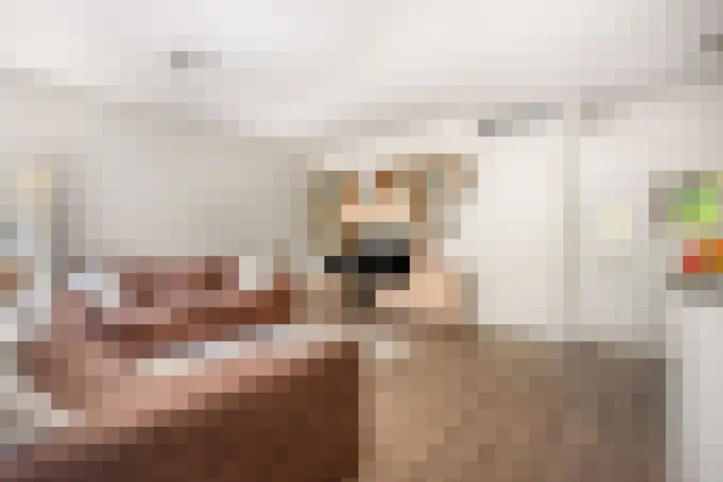 Berlagelaan 8 Haarlem thumbnail 32