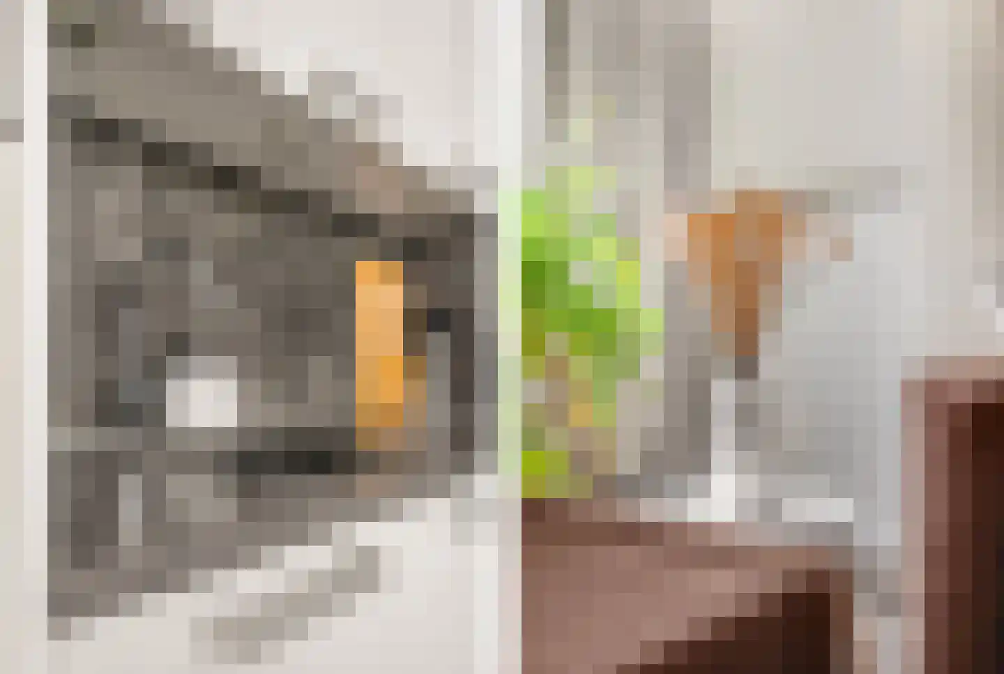Berlagelaan 8 Haarlem thumbnail 36
