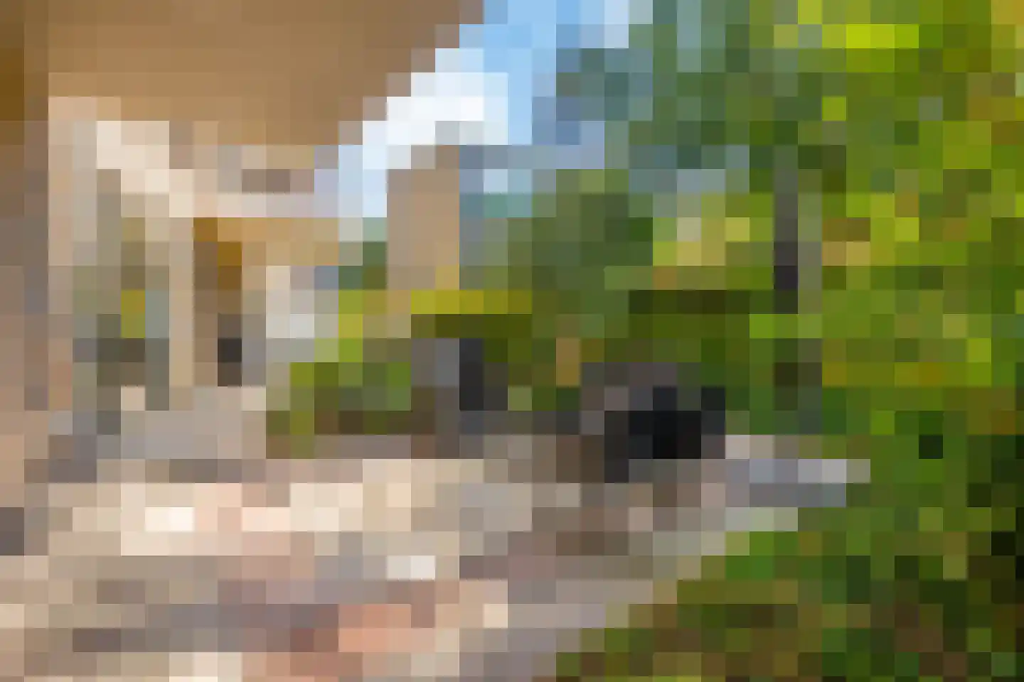 Berlagelaan 8 Haarlem thumbnail 42