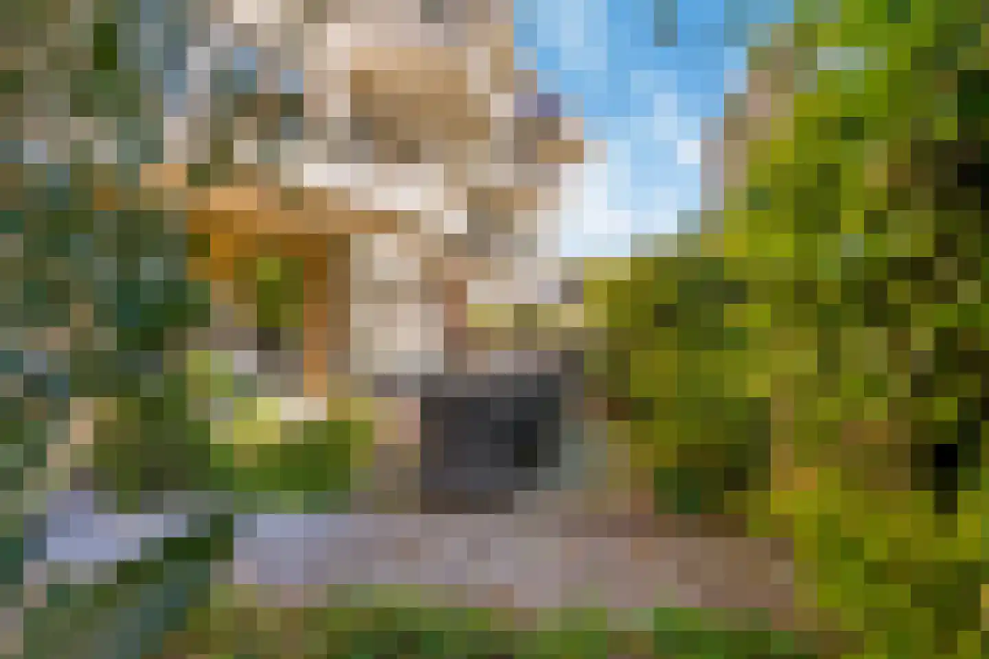 Berlagelaan 8 Haarlem thumbnail 44