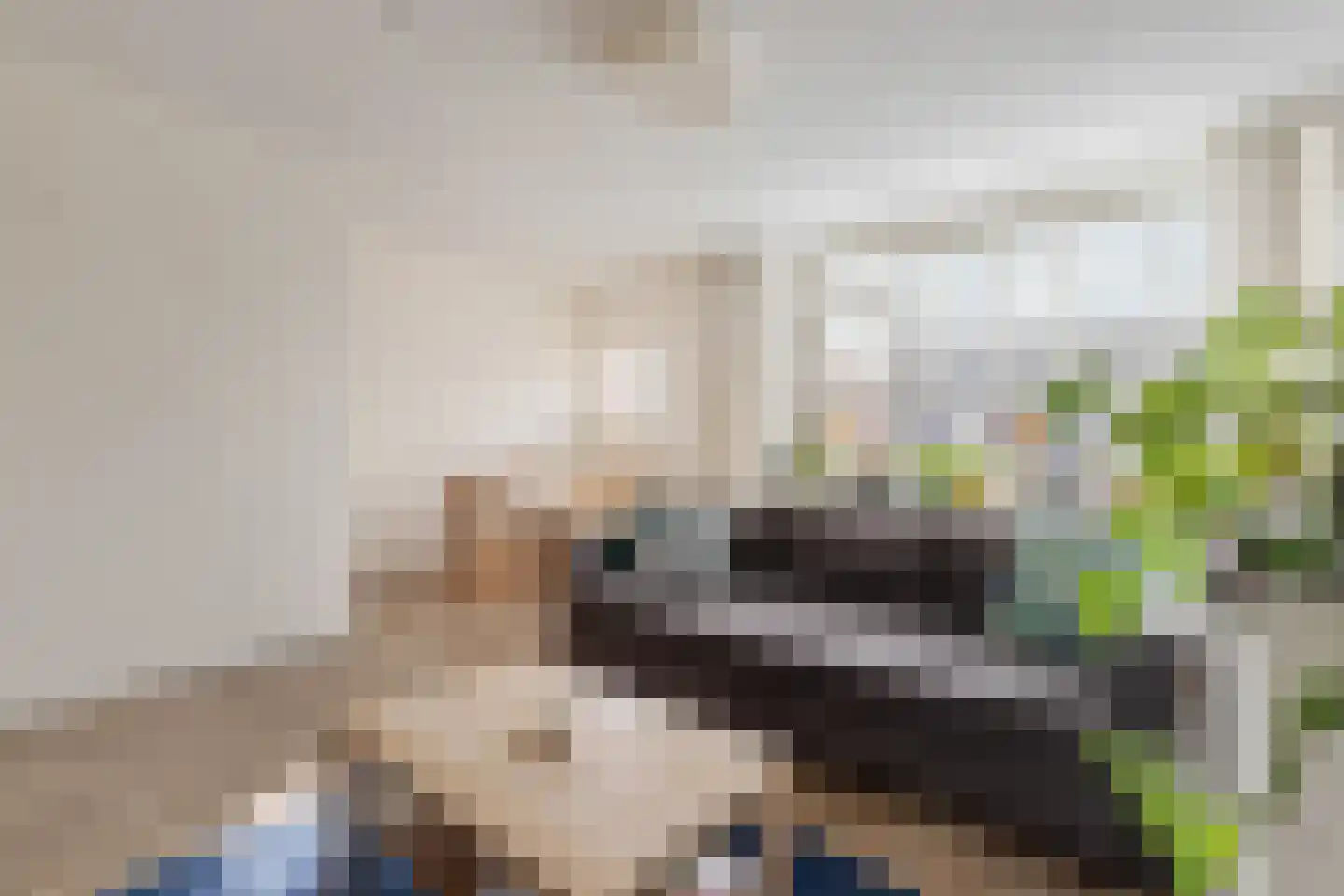 Berlagelaan 82 Hilversum thumbnail 7
