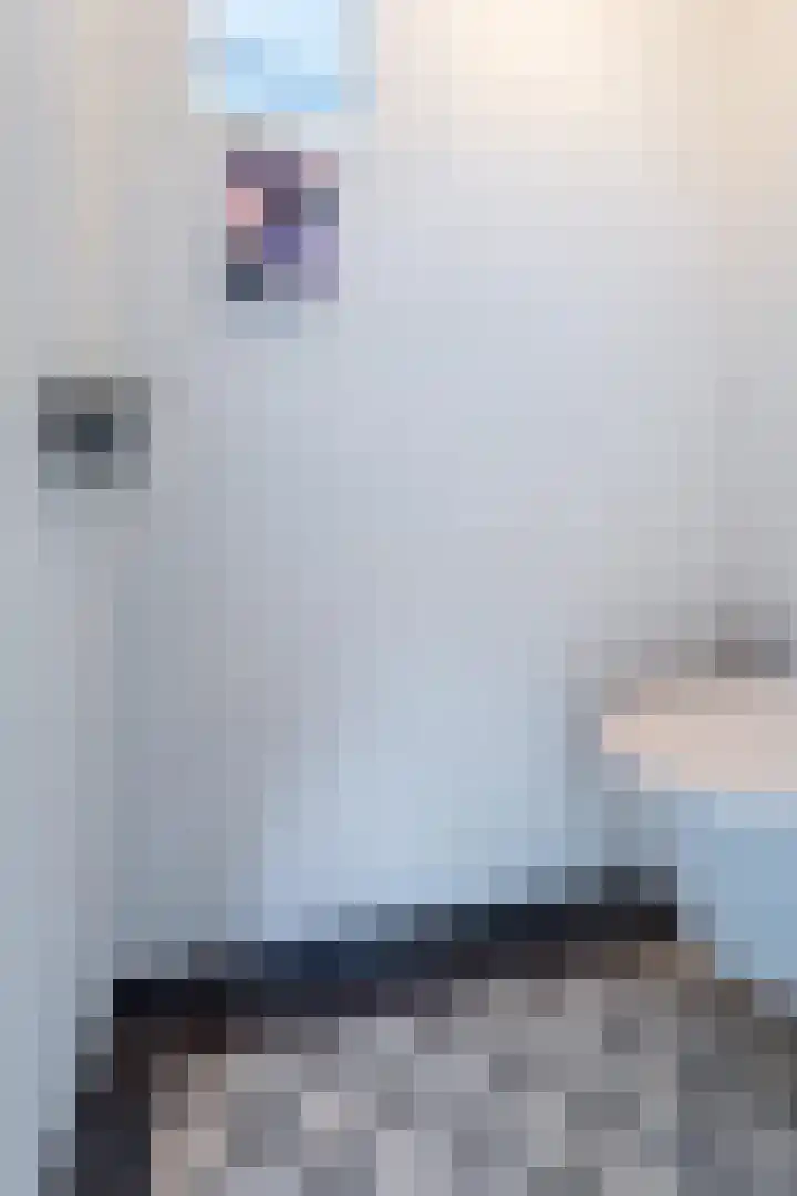 Berlagelaan 88 Hilversum thumbnail 13