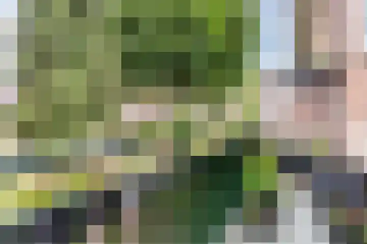Berlagelaan 88 Hilversum thumbnail 38