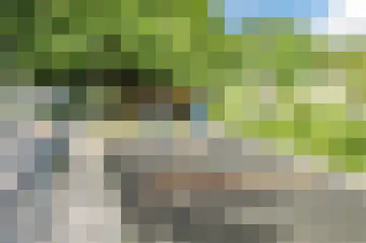 Berlagelaan 88 Hilversum thumbnail 43