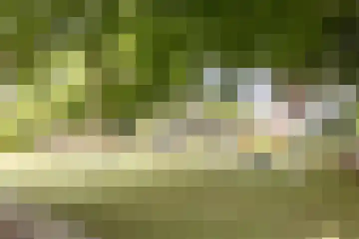 Berlagelaan 88 Hilversum thumbnail 44